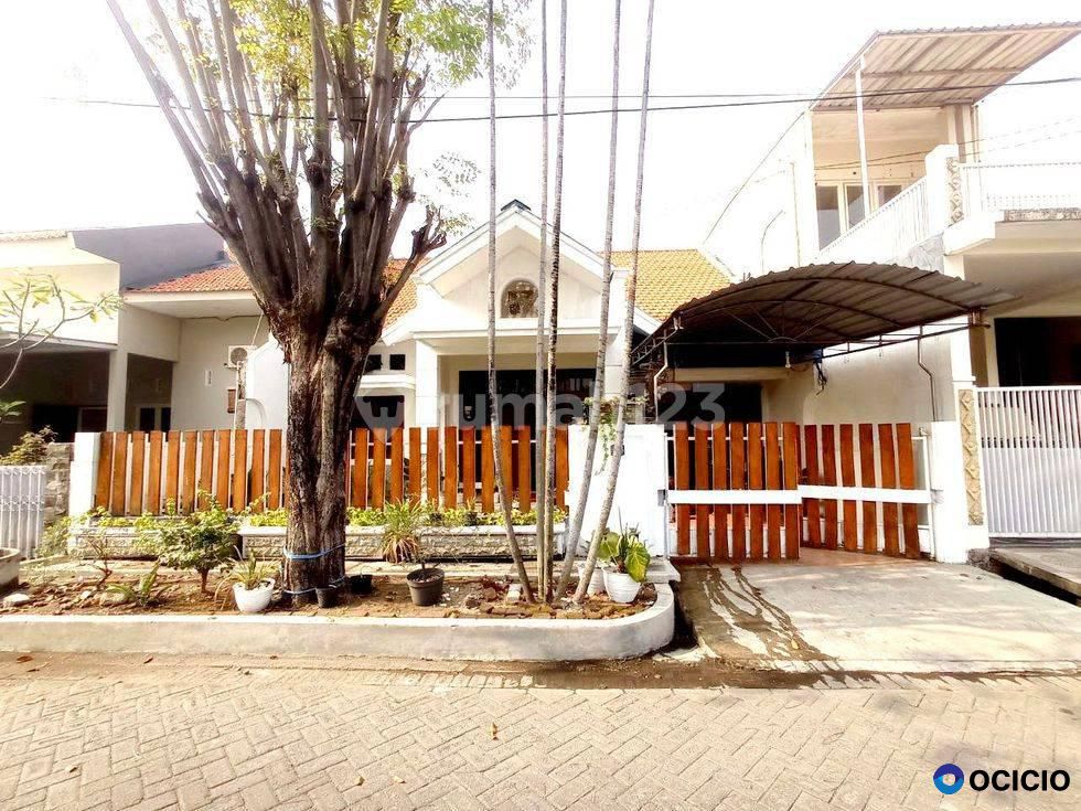Rumah di Jl. Kendangsari belakang chicko swalayan Disewakan