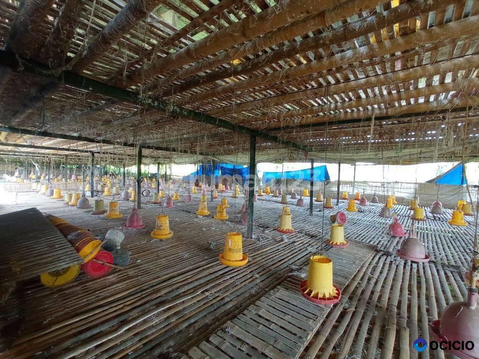 Jual Tanah di Besuk Probolinggo Dekat Kraksaan, Probolinggo SHM