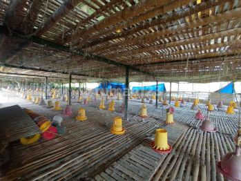 Jual Tanah di Besuk Probolinggo Dekat Kraksaan, Probolinggo SHM