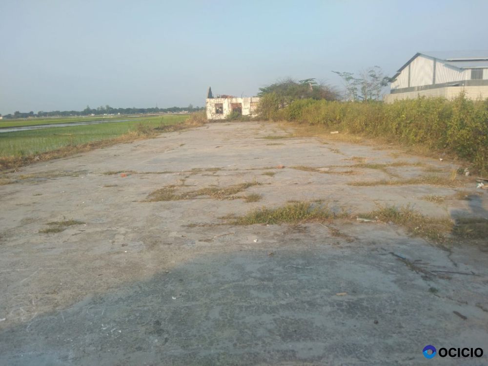 Tanah Untuk Bangun Gudang Dan Usaha Dekat Jalan Pantura Pemalang