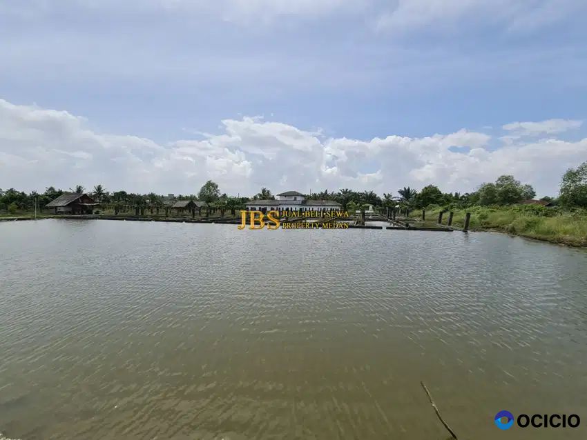 Dijual Tanah Ex Tambak di Jalan Kebun Sayur (Percut)