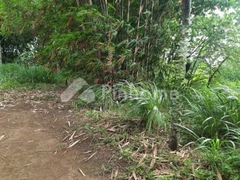 Dijual Tanah Komersial (wakaf) di Jln. Cisangkuy Sukamukti Kec. Katapang