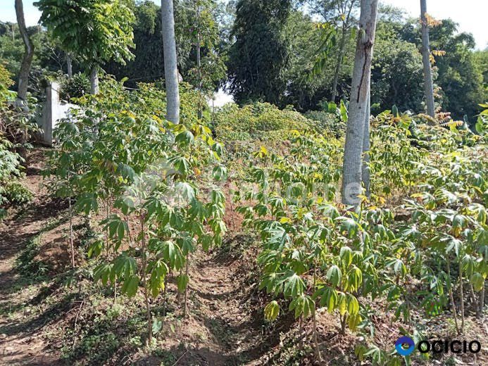 Dijual Tanah Residensial Lokasi Strategis di Jl. Raya Ciwidey