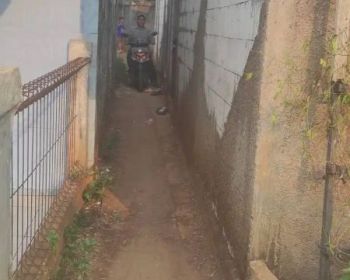 Tanah Rawa Kebo Darat