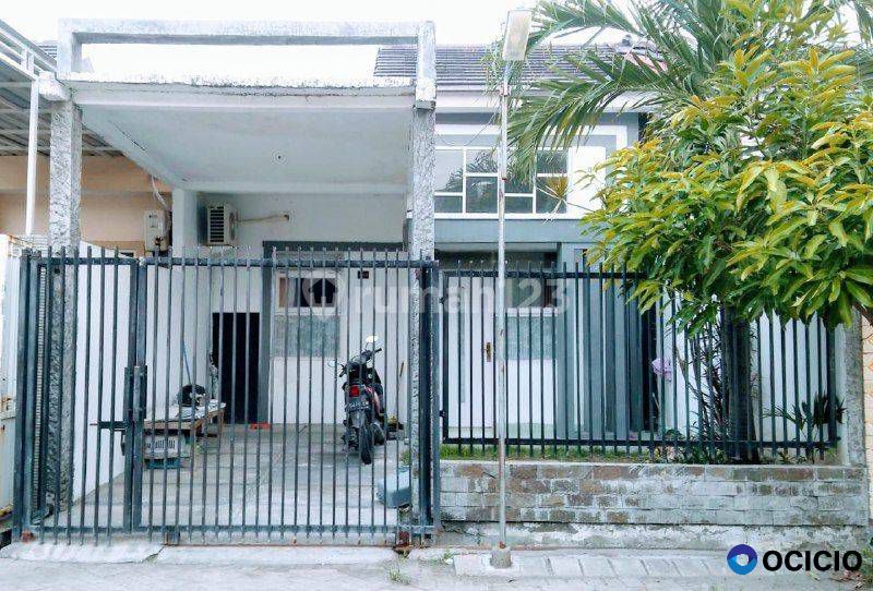 Murah Banget Swan Menganti Gresik JUAL CEPAT BU BANGET