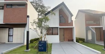 Maestria Residences Tipe Suite