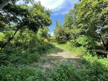 Dijual Tanah Kosong Jalan Peringgan (Masuk dari Jl.Batang Kuis)