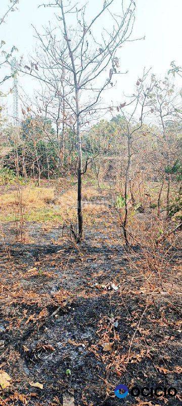 Dijual Tanah Luas Lokasi Strategis Dawarblandong Mojokerto