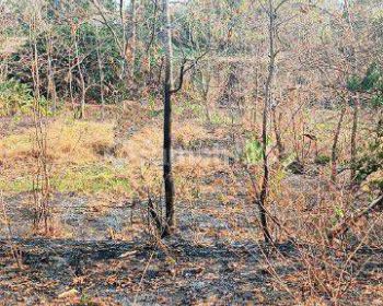 Dijual Tanah Luas Lokasi Strategis Dawarblandong Mojokerto