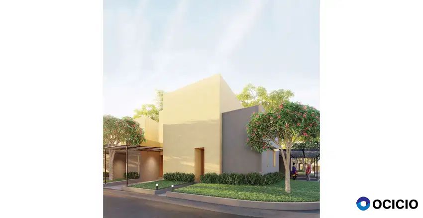 Samanea Hill Cluster Acacia Tipe Prime