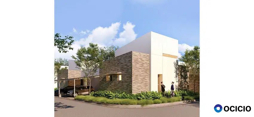 Samanea Hill Cluster Albizia Tipe Prime