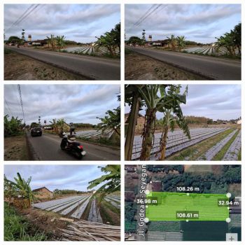 Tanah Sawah Zona Kuning