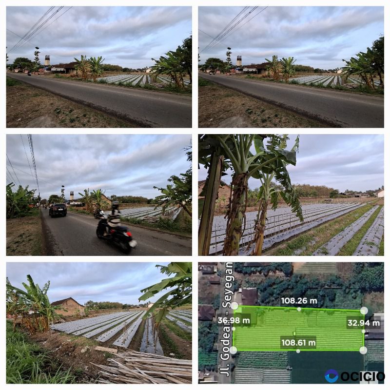 Tanah Sawah Zona Kuning