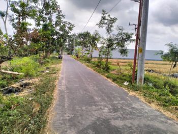 Tanah Sawah Murah Di Ngrajek Tirtonadi Mlati Sleman D.I Yogyakarta