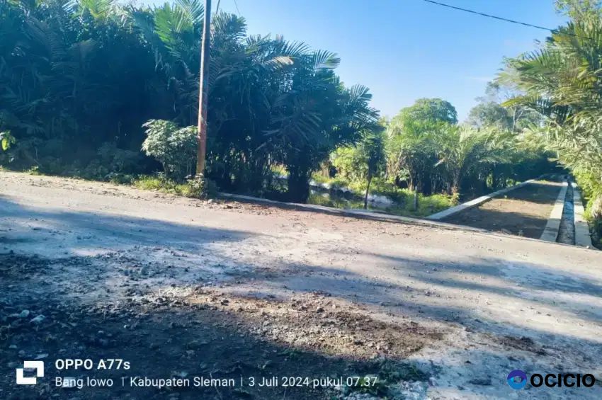 Dijual Tanah Sawah Di Kampung Wisata Kelor Bangunkerto Turi Sleman
