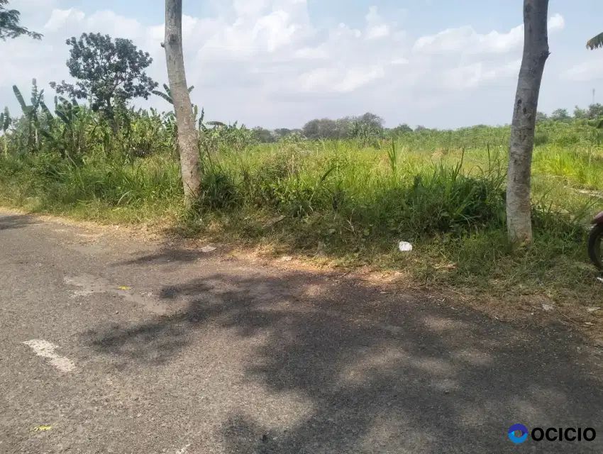 Dijual Tanah Pekarangan Di Cebongan Mlati Sleman