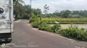 Djual Tanah sawah di burikan Sumberadi Mlati Sleman