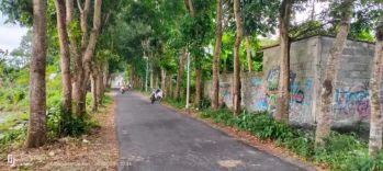 Dijual Tanah Pekarangan Di Ketingan Tirto Adi mlati Sleman