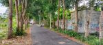 thumbnail-dijual-tanah-pekarangan-di-ketingan-tirto-adi-mlati-sleman-0