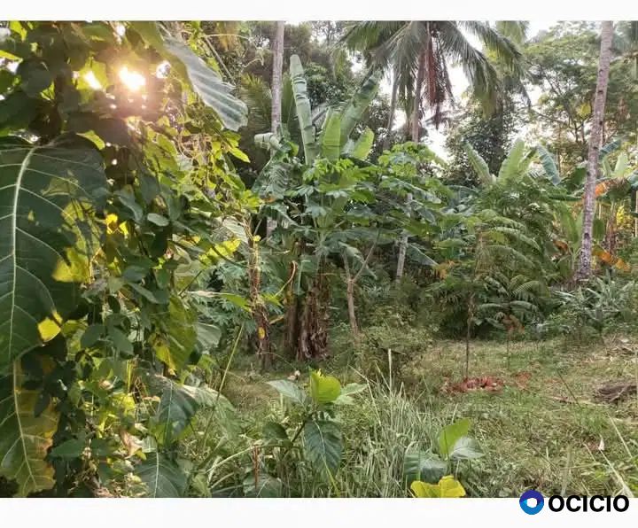 tanah 1000 meter dekat bukit sakura kemiling