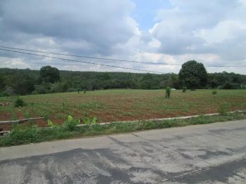 tanah 13,7 hektar di jalan poros branti gedong tataan