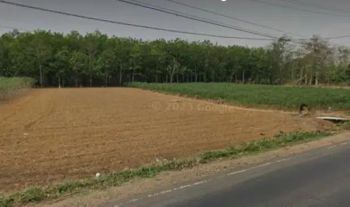 Tanah 12 ha di jl lintas sumatera lampung tengah