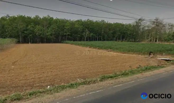 Tanah 12 ha di jl lintas sumatera lampung tengah