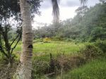 thumbnail-jual-tanah-kosong-di-desa-bengkurung-jalan-sembahe-namorambe-3