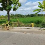 thumbnail-dijual-tanah-smh-sawah-di-barat-per4an-sayegan-0