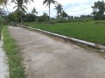 thumbnail-tanah-sawah-murah-di-bligo-ngluwar-4
