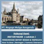 thumbnail-forwarder-import-belgia-door-to-door-nyg-express-0