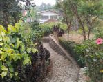 thumbnail-dijual-rumah-asri-lengkap-dengan-kebun-luas-cocok-untuk-hunian-usaha-3
