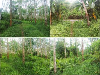 BU - Jual Murah Tanah Strategis Di Sumatera Selatan. Palembang