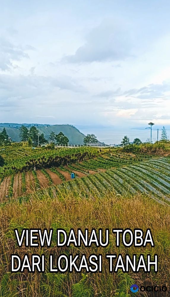 JUAL TANAH VIEW DANAU TOBA DAN BUKIT SIPISOPISO DIPINGGIR JALAN ASPAL