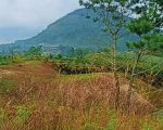 thumbnail-jual-tanah-view-danau-toba-dan-bukit-sipisopiso-dipinggir-jalan-aspal-2
