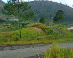 thumbnail-jual-tanah-view-danau-toba-dan-bukit-sipisopiso-dipinggir-jalan-aspal-3