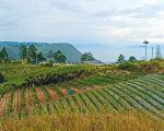 thumbnail-jual-tanah-view-danau-toba-dan-bukit-sipisopiso-dipinggir-jalan-aspal-0