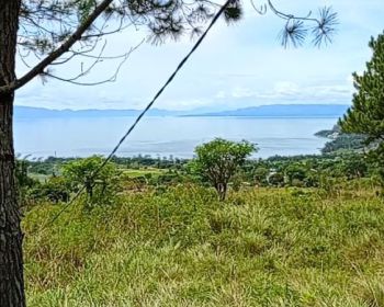 JUAL WISMA  DAN CAMPING RESORT VIEW DANAU TOBA