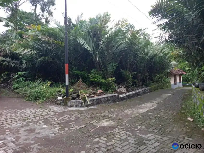 Dijual Tanah SHM Pekarangan Utara Pasar Turi
