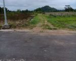 thumbnail-dijual-tanah-sawah-cocok-bwt-pertanian-di-margodadi-sayegan-1