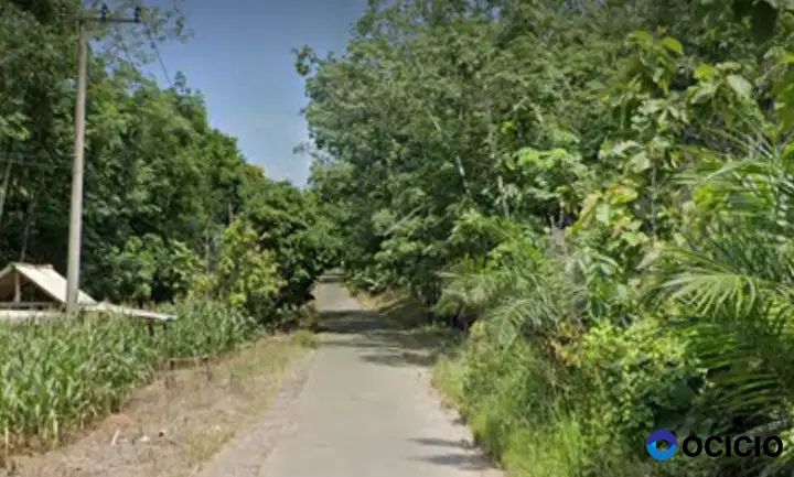 Tanah 3,4 hektar di rulung sari natar