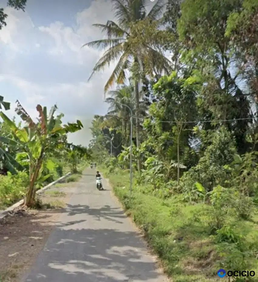 Dijual Tanah SHM Sawah Murah Meriah Di Cibuk Tirto Adi Mlati Sleman