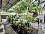 thumbnail-dijual-rumah-jl-kartini-surabaya-9