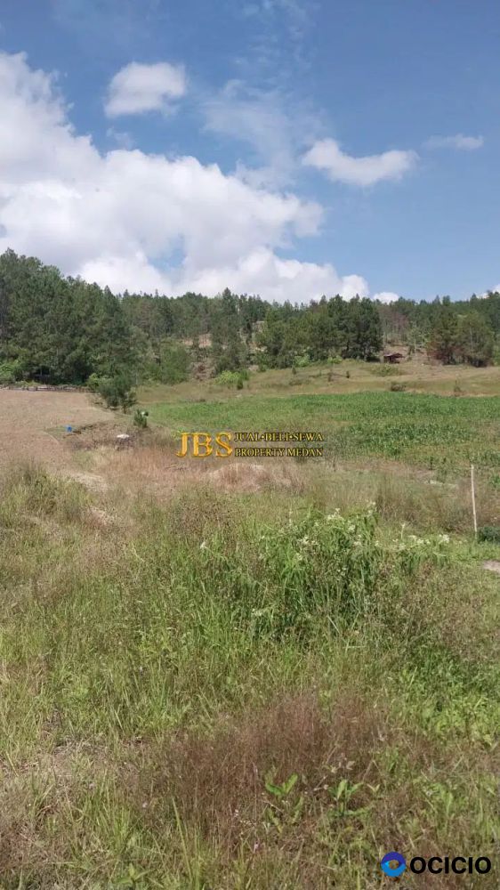 Jual Tanah Kosong di Desa Marlumba, Kec. Simanindo, Kab. Samosir