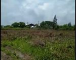 thumbnail-dijual-tanah-industri-di-jalan-raya-tuban-babat-kecamatan-widang-jawa-timur-2