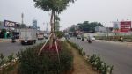 thumbnail-dijual-kavling-komersial-latinos-di-jln-raya-rawa-buntu-bsd-city-3