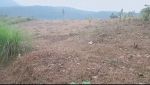 thumbnail-dijual-tanah-di-jl-gunung-sieum-sukadamai-sukamakmur-jonggol-bogor-1