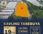 thumbnail-dijual-kavling-komersial-tabebuya-di-jln-bsd-raya-pusat-bsd-city-5