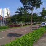 thumbnail-dijual-kavling-commercial-bsd-city-kavling-ice-banten-1