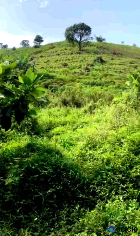 Dijual Tanah di Desa Tangkil, Kecamatan Citeureup, Kabupaten Bogor, Sentul